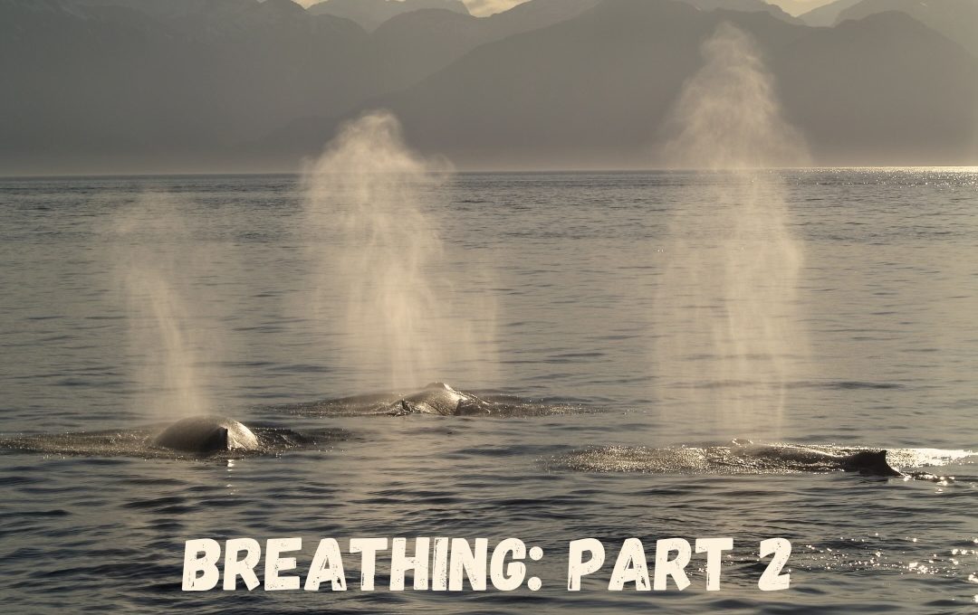 Breathing: Part 1 1